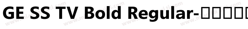 GE SS TV Bold Regular字体转换